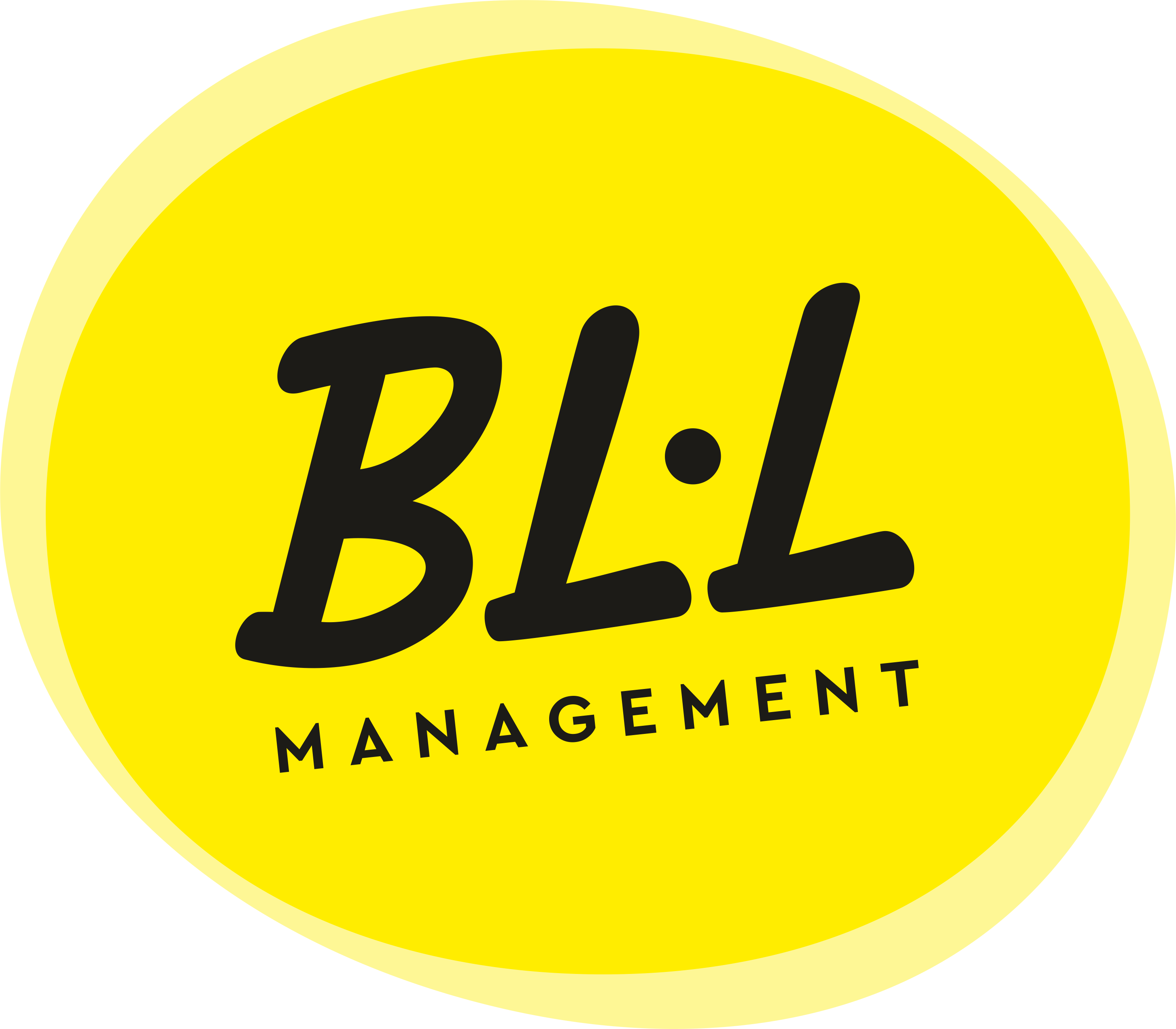 Bll Management